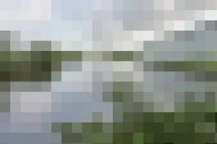 Nieuwveens Jaagpad 10 Nieuwveen thumbnail 70