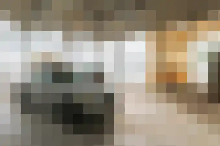 Nieuwveens Jaagpad 10 Nieuwveen thumbnail 77