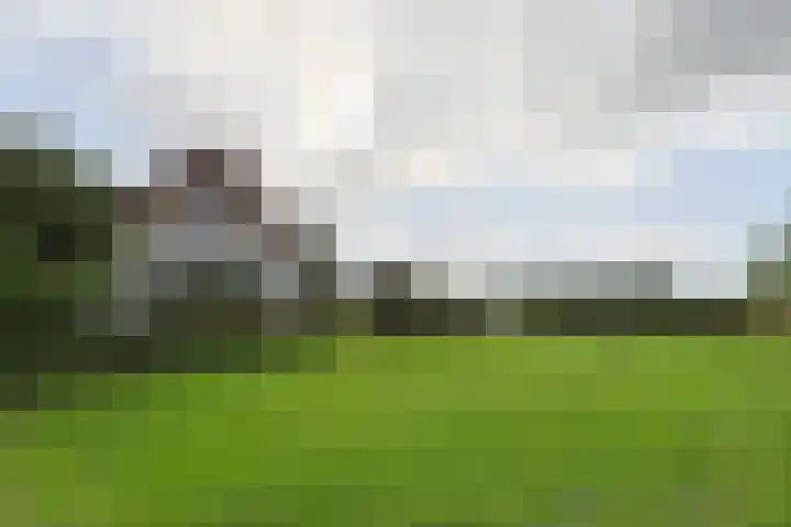 Nieuwveens Jaagpad 10 Nieuwveen thumbnail 8