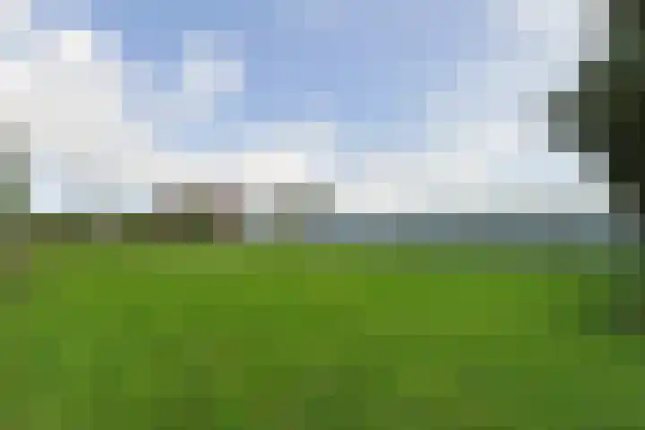 Nieuwveens Jaagpad 10 Nieuwveen thumbnail 9