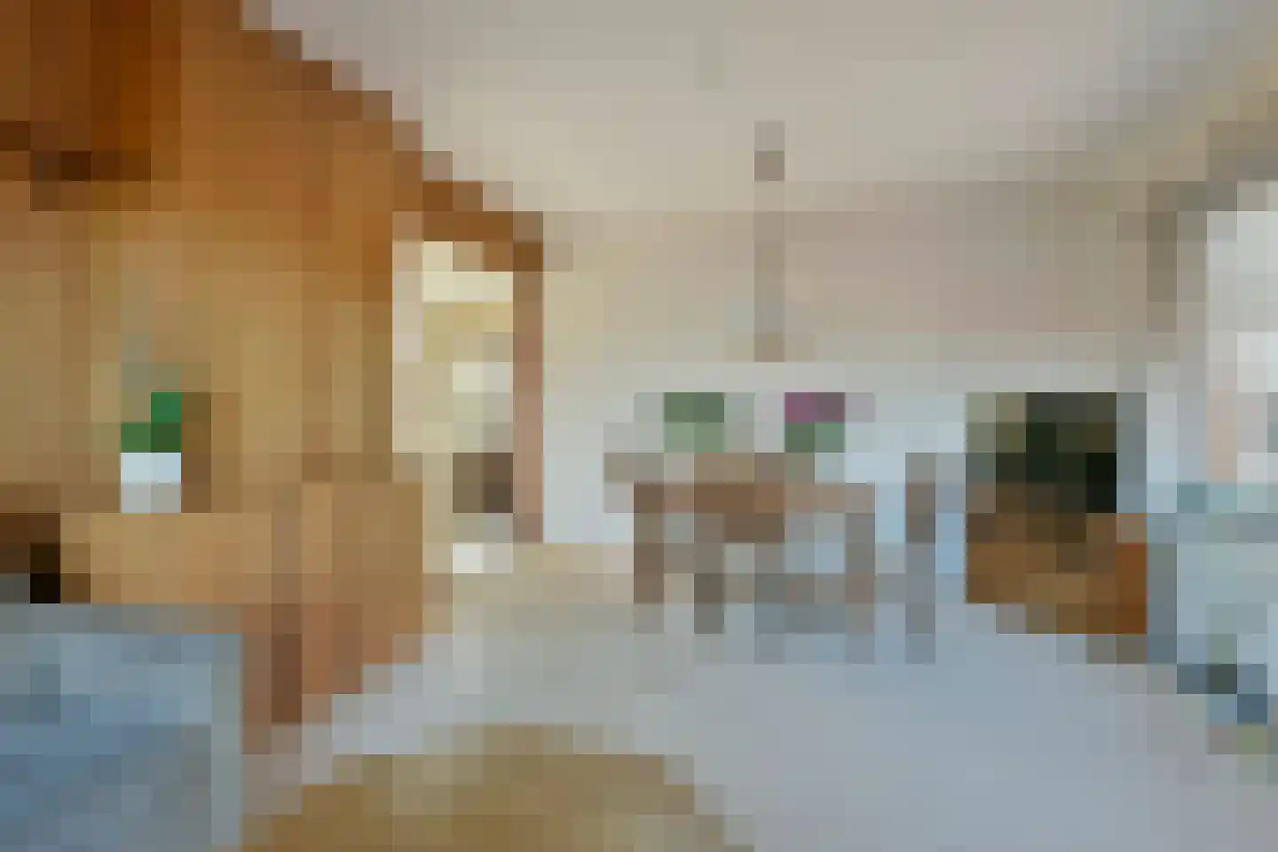 Nieuwveens Jaagpad 68 Nieuwveen thumbnail 8