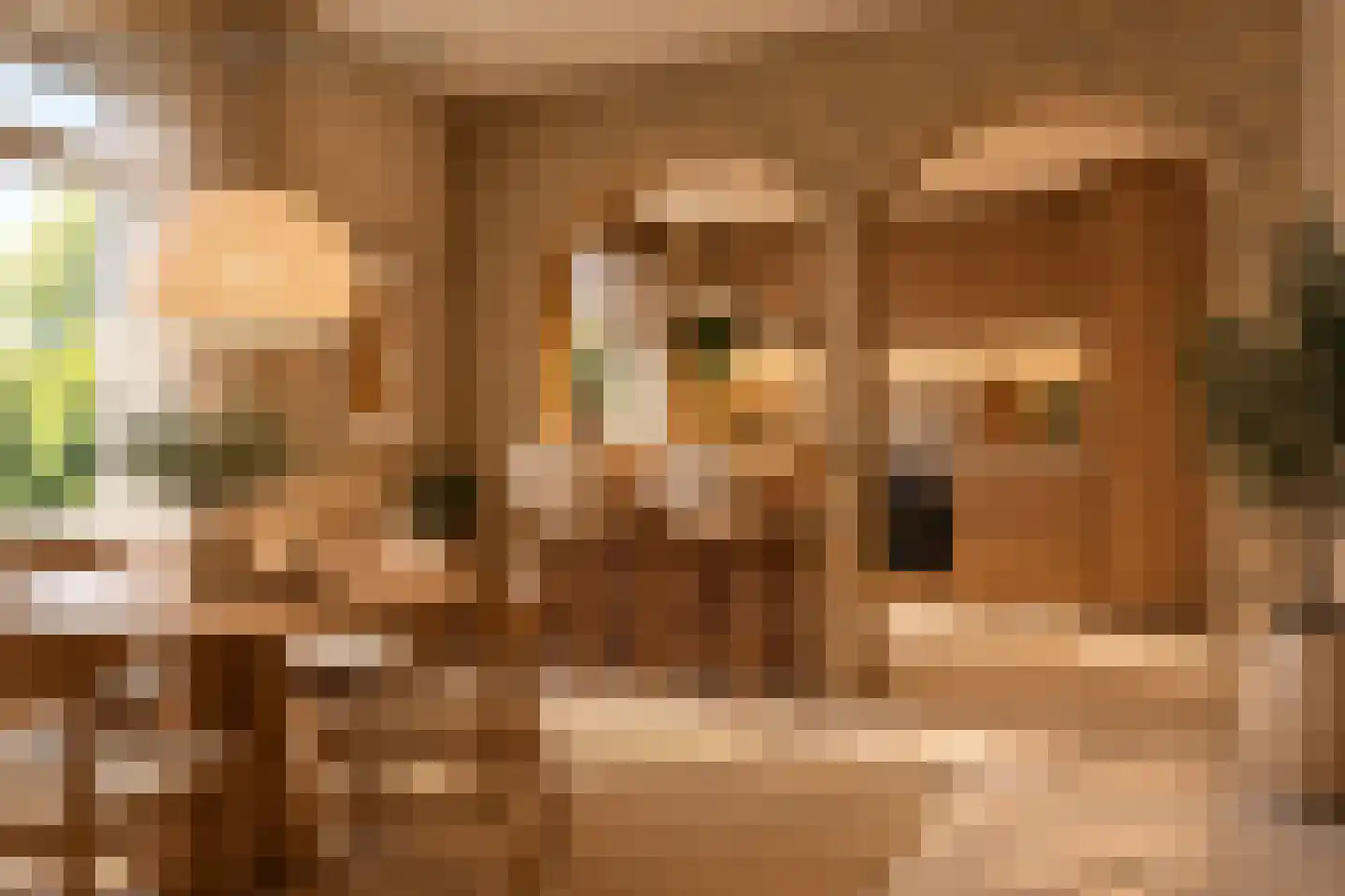 Nieuwveens Jaagpad 83 Nieuwveen thumbnail 10