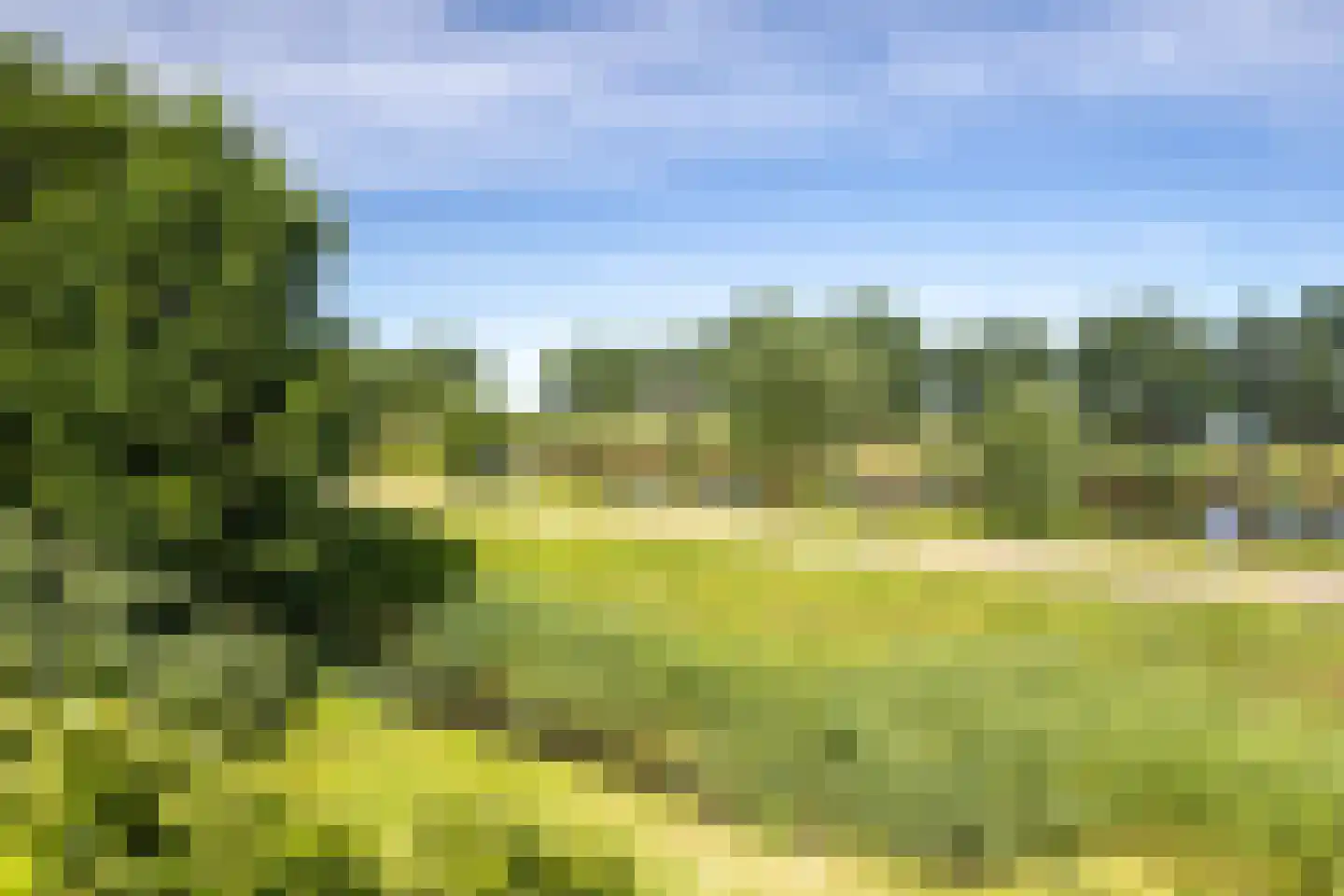 Nieuwveens Jaagpad 83 Nieuwveen thumbnail 17