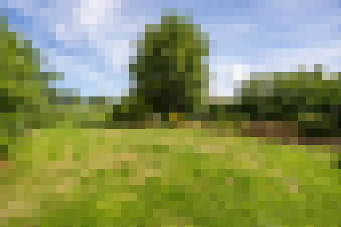 Nieuwveens Jaagpad 83 Nieuwveen thumbnail 20