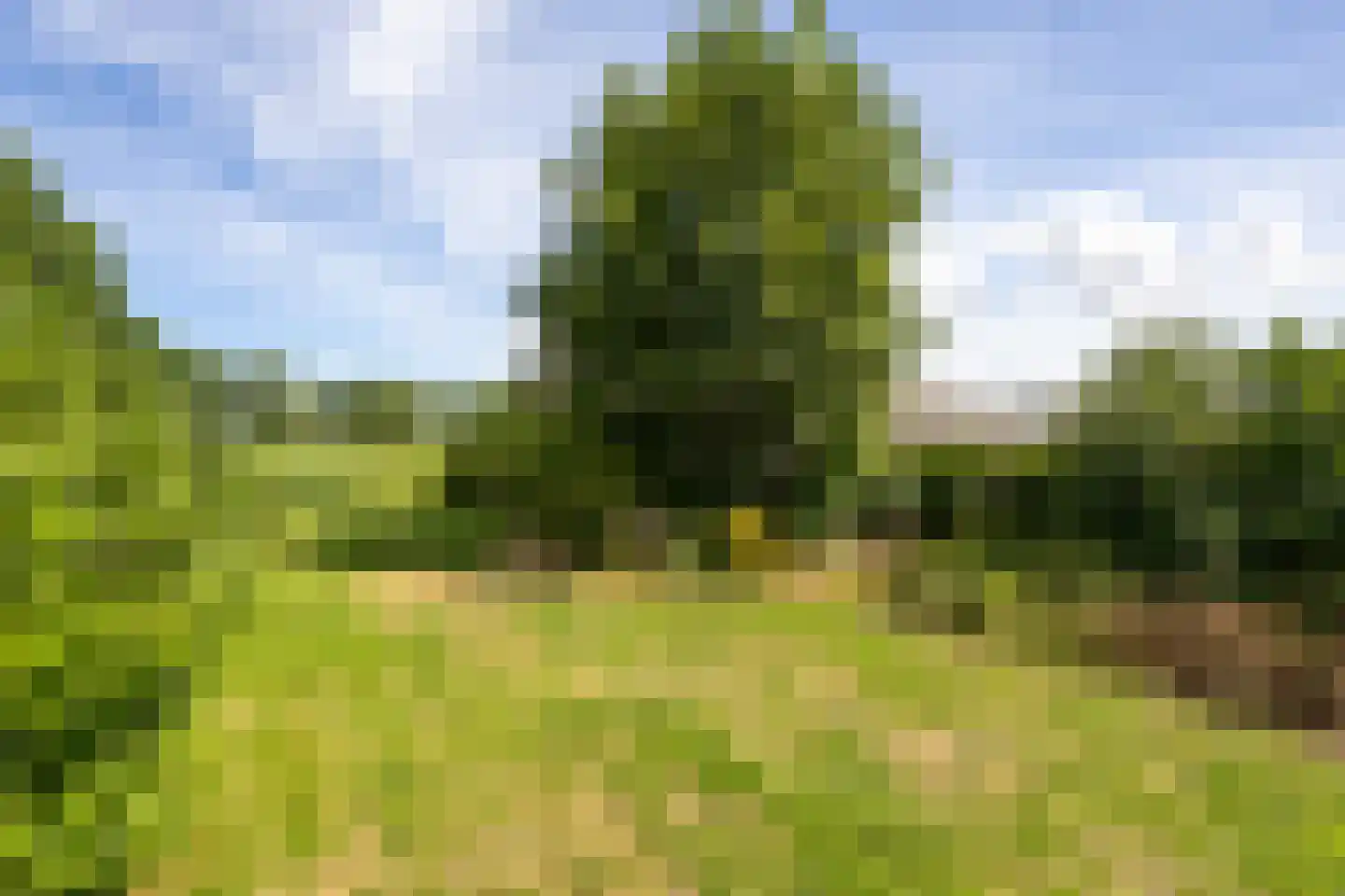 Nieuwveens Jaagpad 83 Nieuwveen thumbnail 21