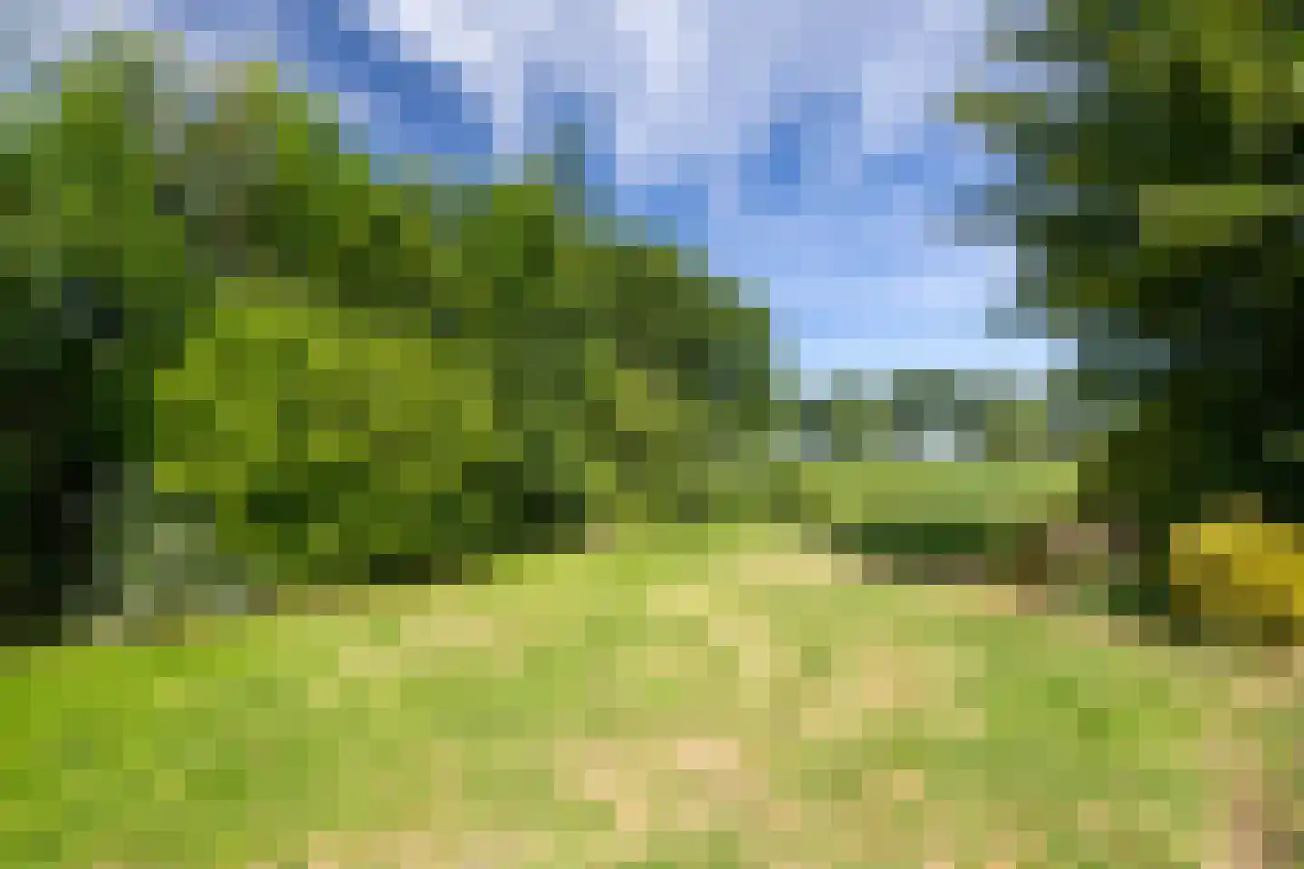 Nieuwveens Jaagpad 83 Nieuwveen thumbnail 22