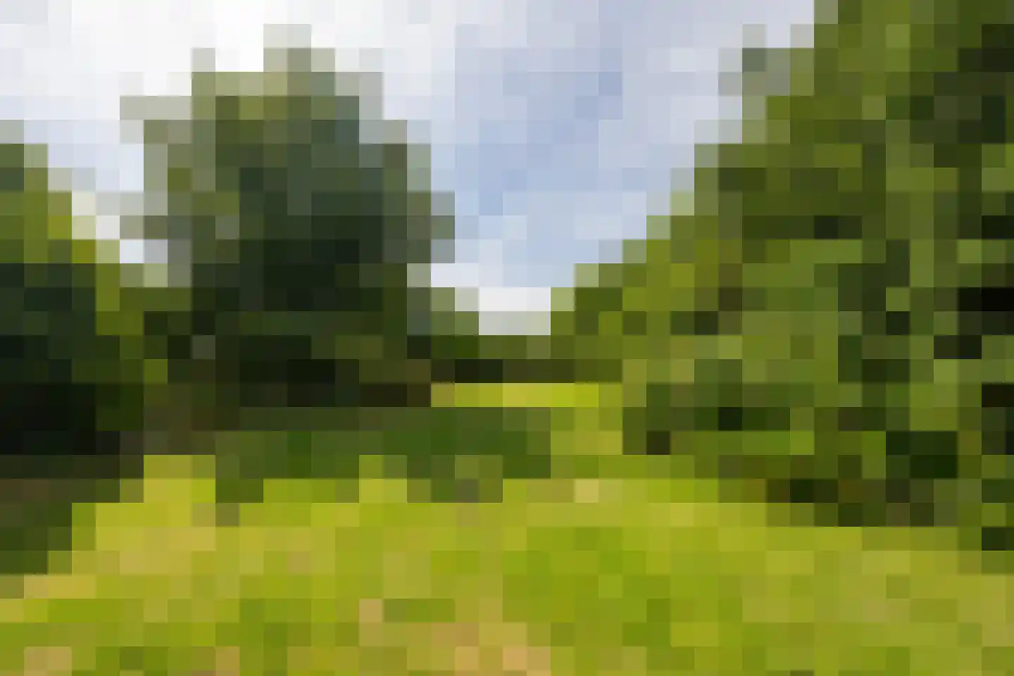 Nieuwveens Jaagpad 83 Nieuwveen thumbnail 25