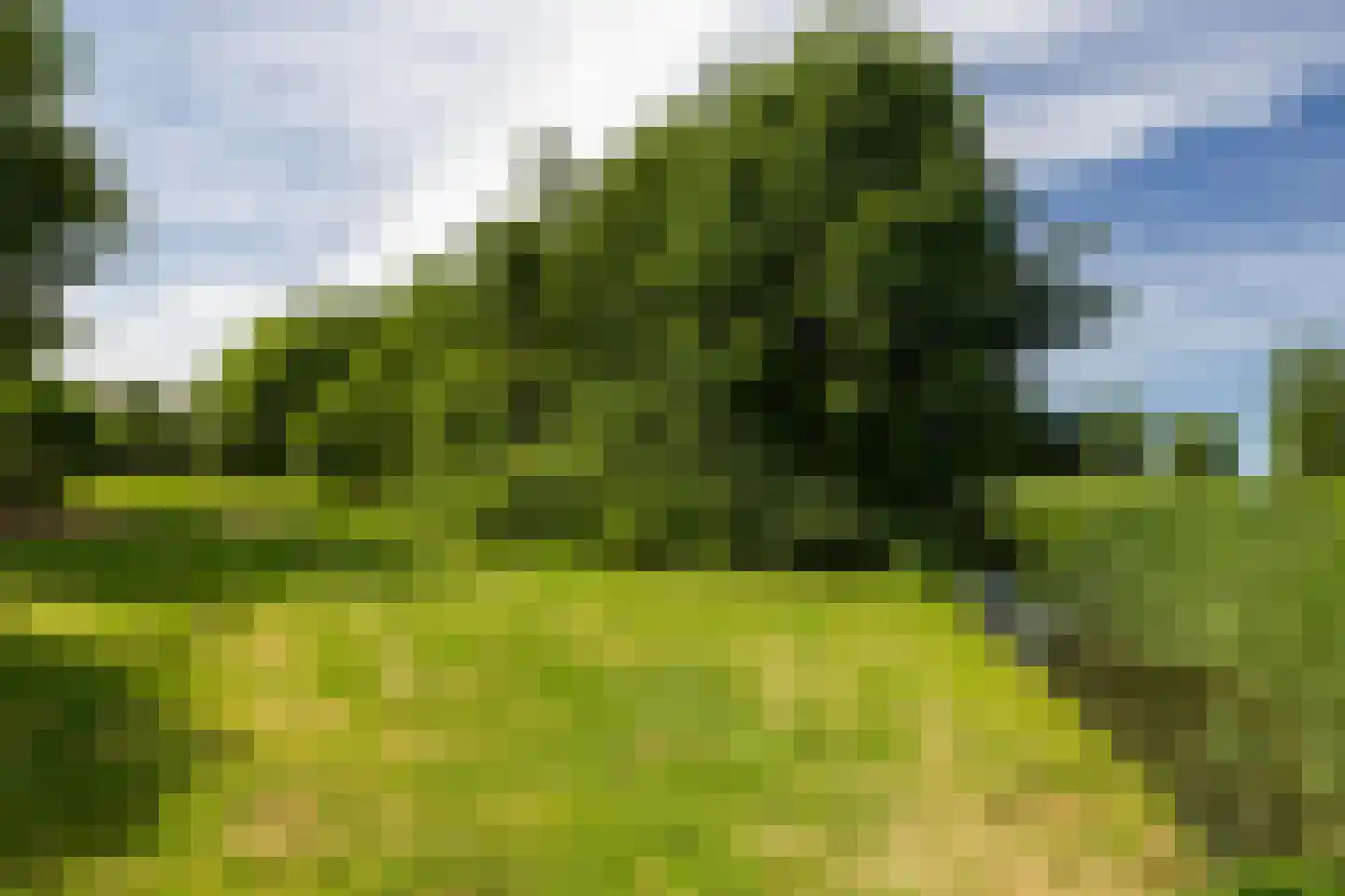 Nieuwveens Jaagpad 83 Nieuwveen thumbnail 26