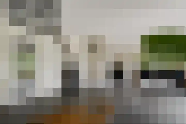 Nieuwveenseweg 36 A Nieuwkoop thumbnail 15