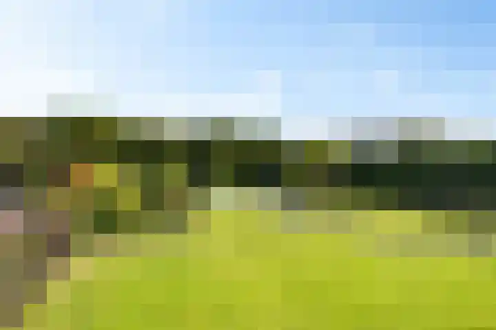 Nieuwveenseweg 36 A Nieuwkoop thumbnail 4