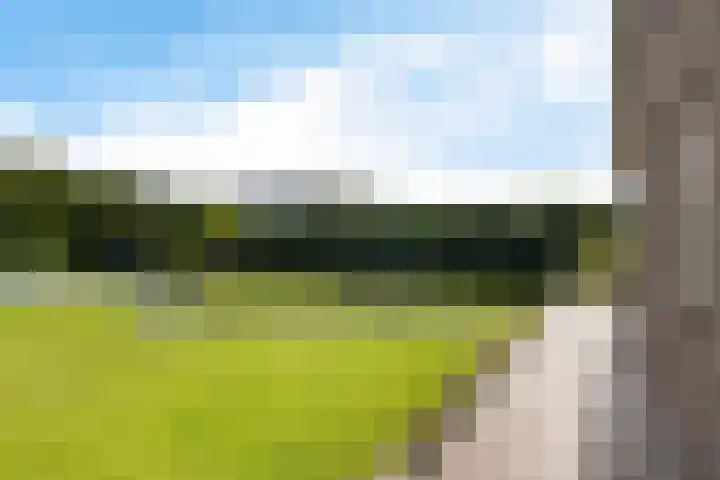 Nieuwveenseweg 36 A Nieuwkoop thumbnail 44