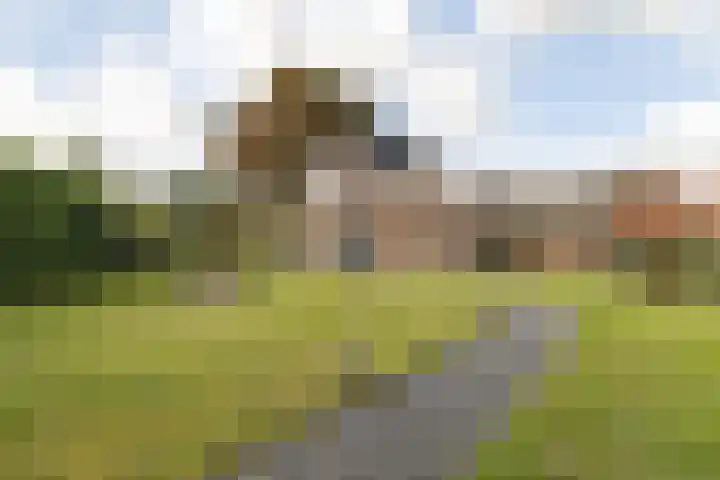 Nieuwveenseweg 36 A Nieuwkoop thumbnail 45