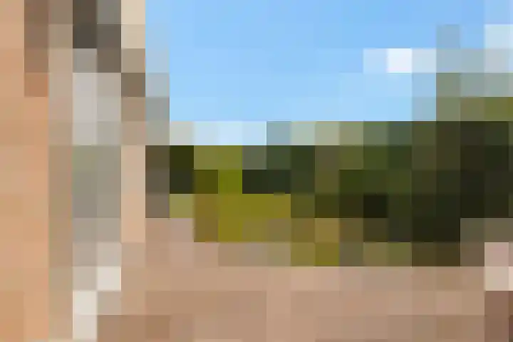 Nieuwveenseweg 36 A Nieuwkoop thumbnail 47