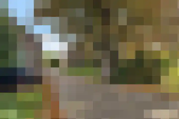 Nieuwveenseweg 36 A Nieuwkoop thumbnail 6
