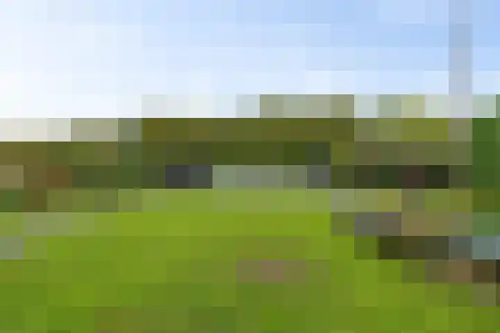 Nieuwveenseweg 36 A Nieuwkoop thumbnail 60