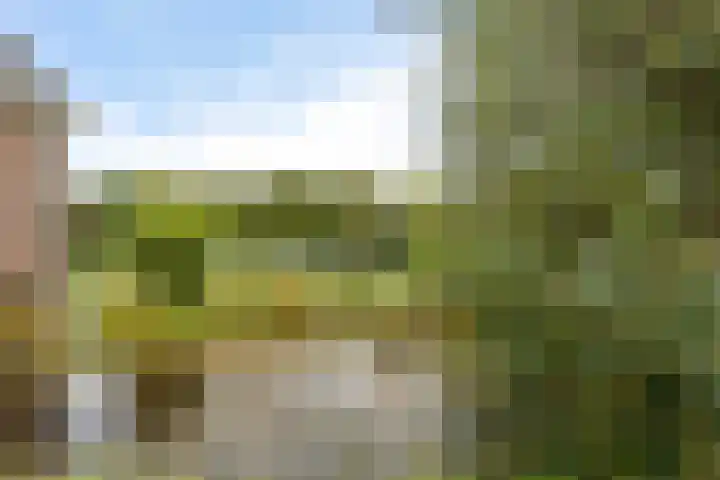 Nieuwveenseweg 36 A Nieuwkoop thumbnail 63
