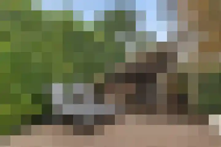 Nieuwveenseweg 36 A Nieuwkoop thumbnail 64