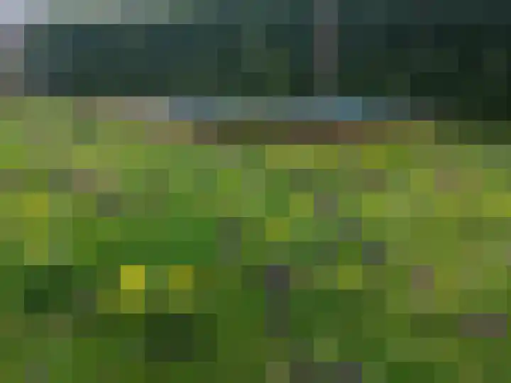 Nieuwveenseweg 36 A Nieuwkoop thumbnail 65