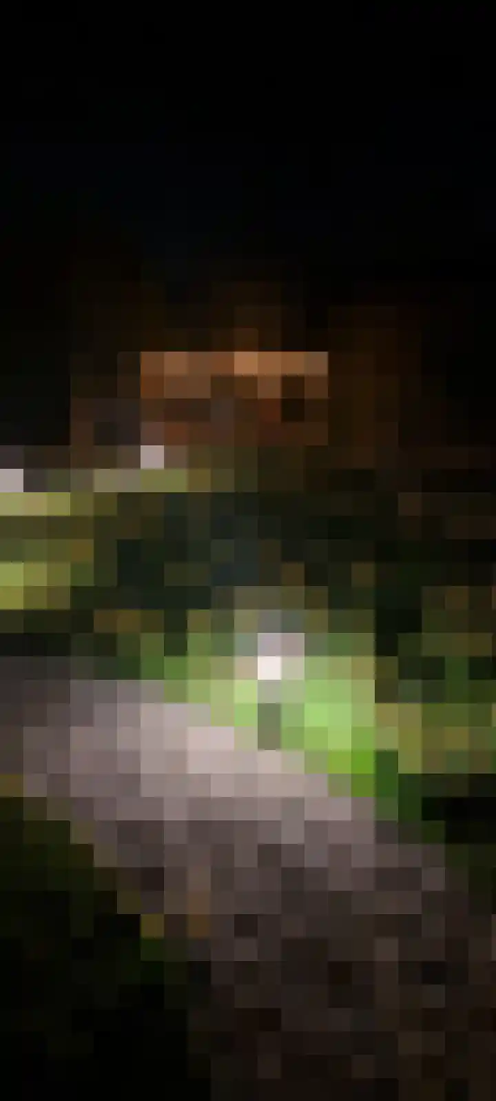 Nieuwveenseweg 36 A Nieuwkoop thumbnail 67