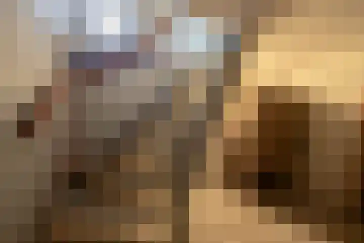 Nieuwveenseweg 4 Nieuwkoop thumbnail 15