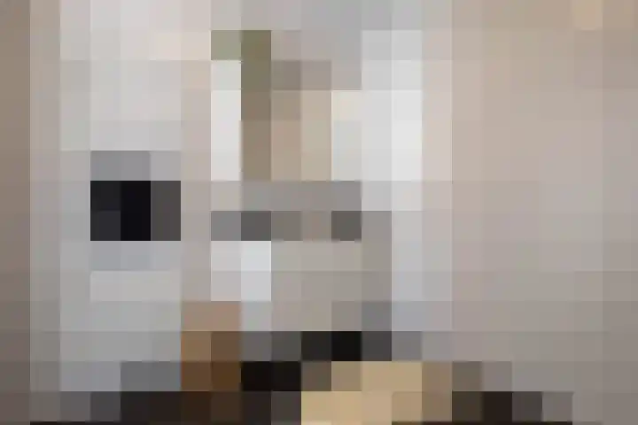 Nieuwveenseweg 4 Nieuwkoop thumbnail 18