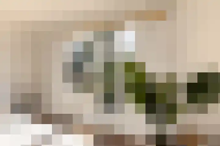 Nieuwveenseweg 4 Nieuwkoop thumbnail 22
