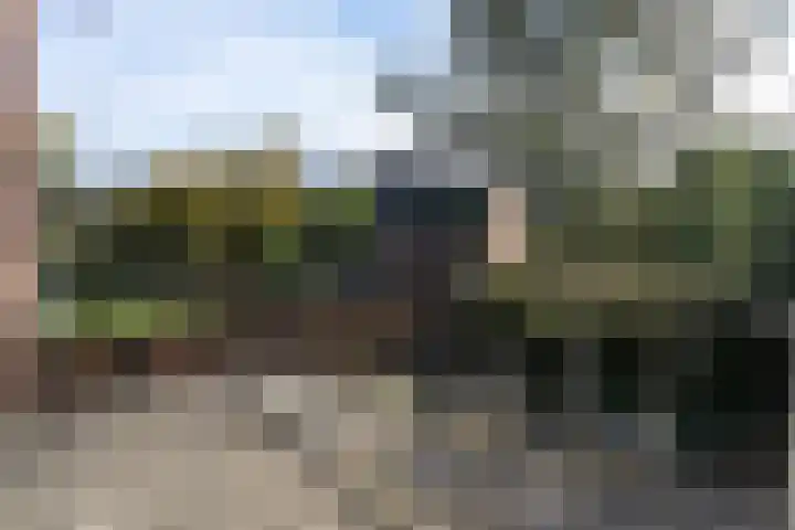 Nieuwveenseweg 4 Nieuwkoop thumbnail 23