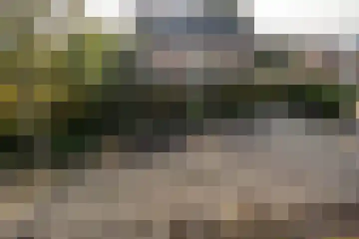 Nieuwveenseweg 4 Nieuwkoop thumbnail 24