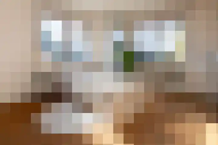 Nieuwveenseweg 4 Nieuwkoop thumbnail 25