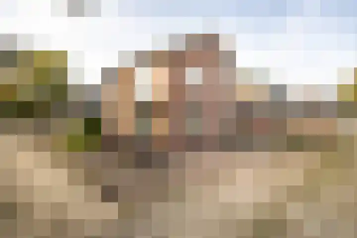 Nieuwveenseweg 4 Nieuwkoop thumbnail 31