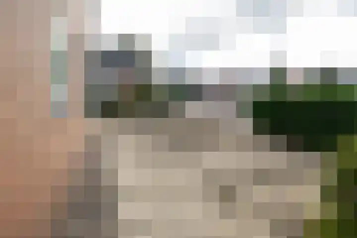 Nieuwveenseweg 4 Nieuwkoop thumbnail 32