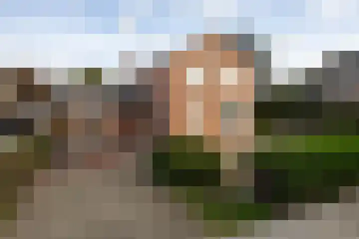 Nieuwveenseweg 4 Nieuwkoop thumbnail 37