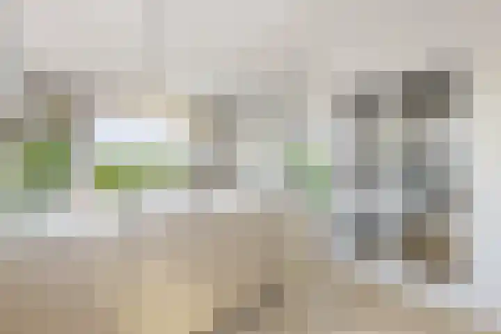 Nieuwveenseweg 4 Nieuwkoop thumbnail 41