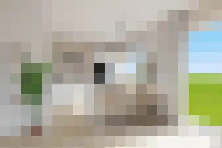 Nieuwveenseweg 4 Nieuwkoop thumbnail 42