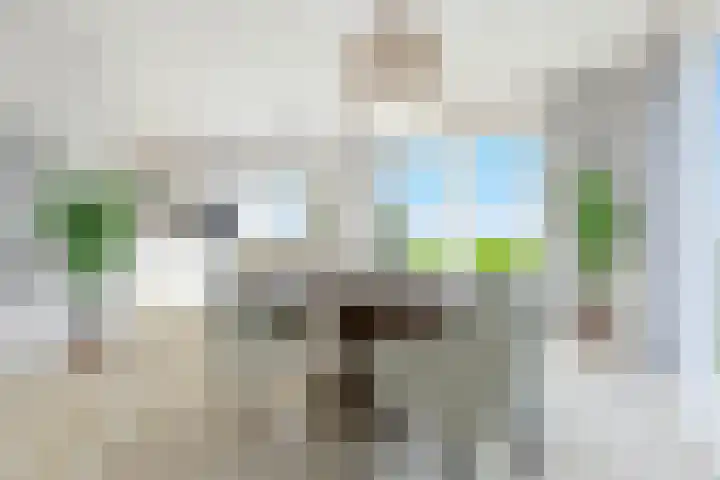 Nieuwveenseweg 4 Nieuwkoop thumbnail 44
