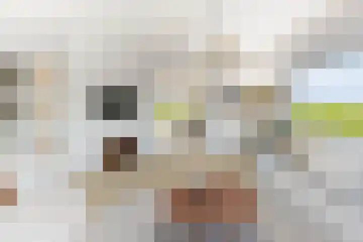 Nieuwveenseweg 4 Nieuwkoop thumbnail 46