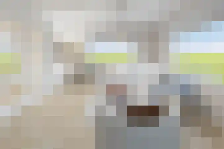 Nieuwveenseweg 4 Nieuwkoop thumbnail 47