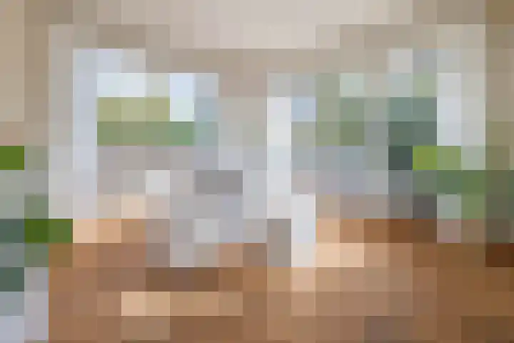 Nieuwveenseweg 4 Nieuwkoop thumbnail 5
