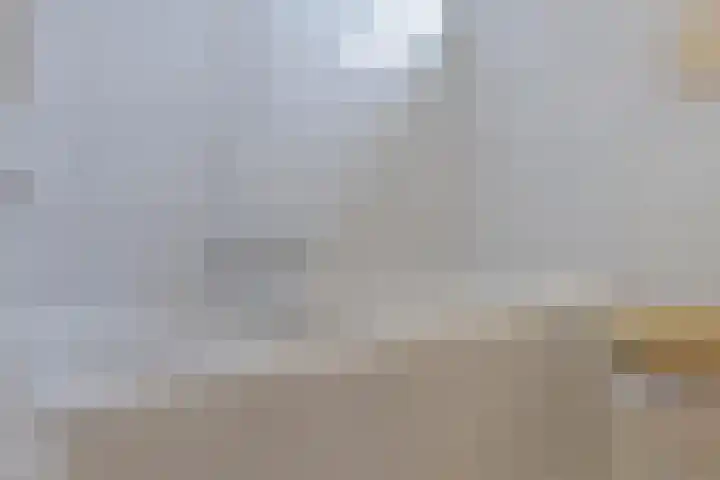 Nieuwveenstraat 2 Nootdorp thumbnail 19