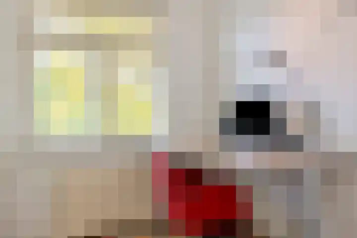 Nieuwveenstraat 2 Nootdorp thumbnail 24