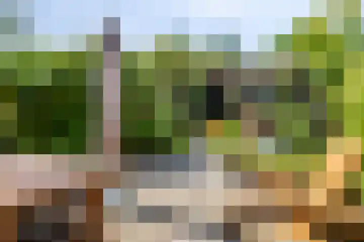 Nieuwveenstraat 2 Nootdorp thumbnail 31