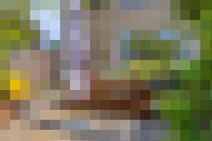 Nieuwveenstraat 2 Nootdorp thumbnail 32