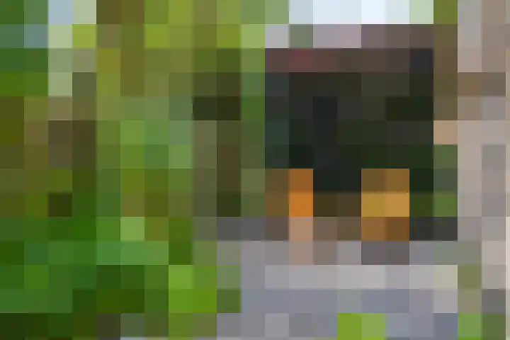 Nieuwveenstraat 2 Nootdorp thumbnail 34