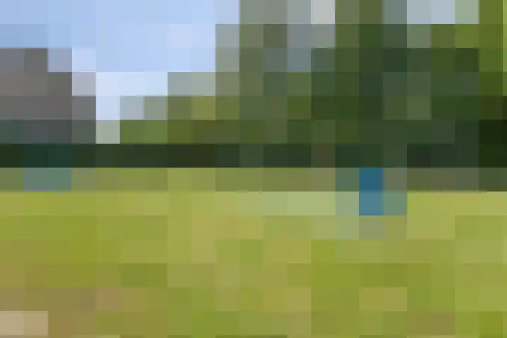 Nieuwveenstraat 2 Nootdorp thumbnail 36