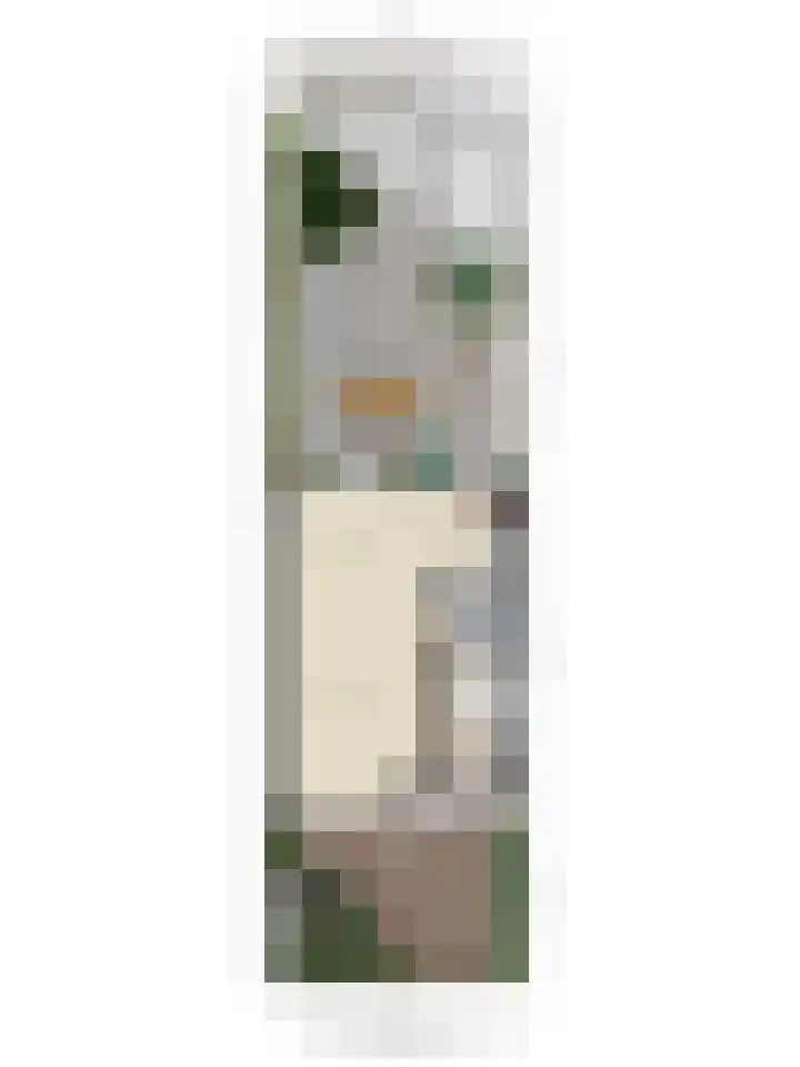 Nieuwveenstraat 2 Nootdorp thumbnail 39