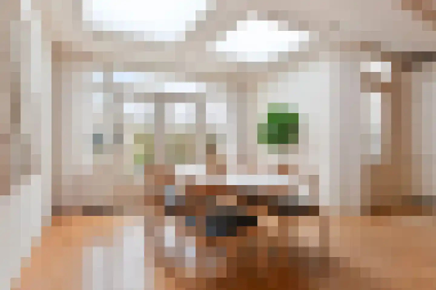 Nieuwveenstraat 8 Nootdorp thumbnail 15