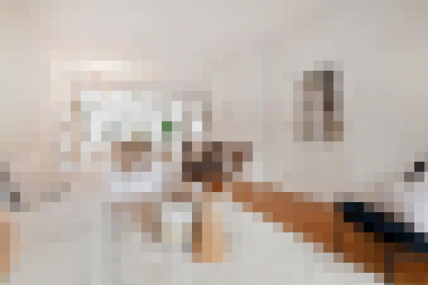 Nieuwveenstraat 8 Nootdorp thumbnail 29