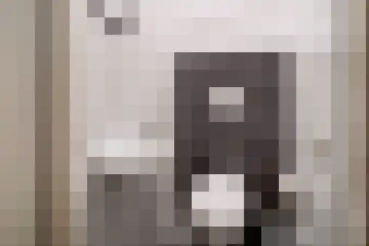 Nieuwveld 116 Helmond thumbnail 11
