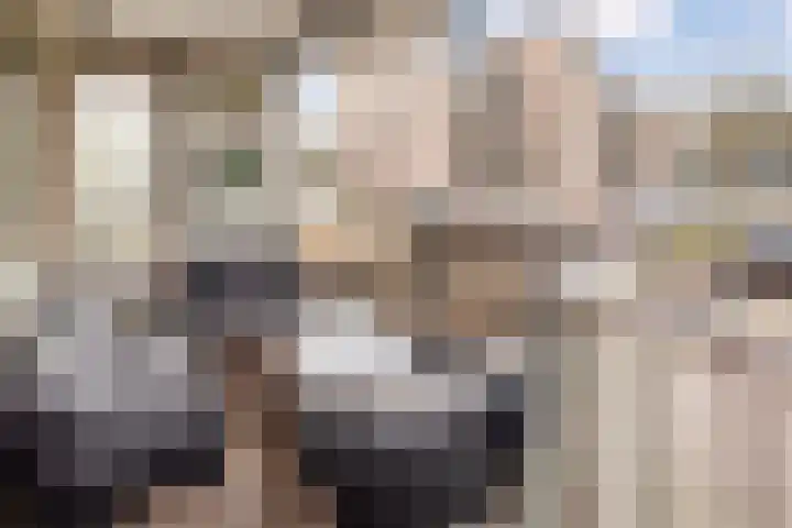 Nieuwveld 116 Helmond thumbnail 22