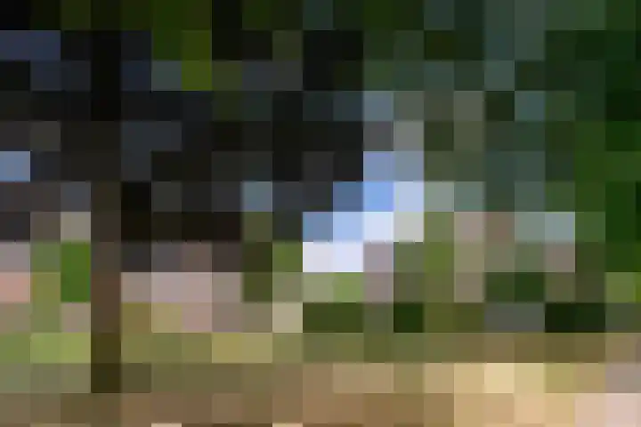 Nieuwveld 116 Helmond thumbnail 23